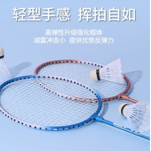 新款梦幻羽毛球拍双拍套餐合金超轻专业攻守兼备体育用品羽毛球拍